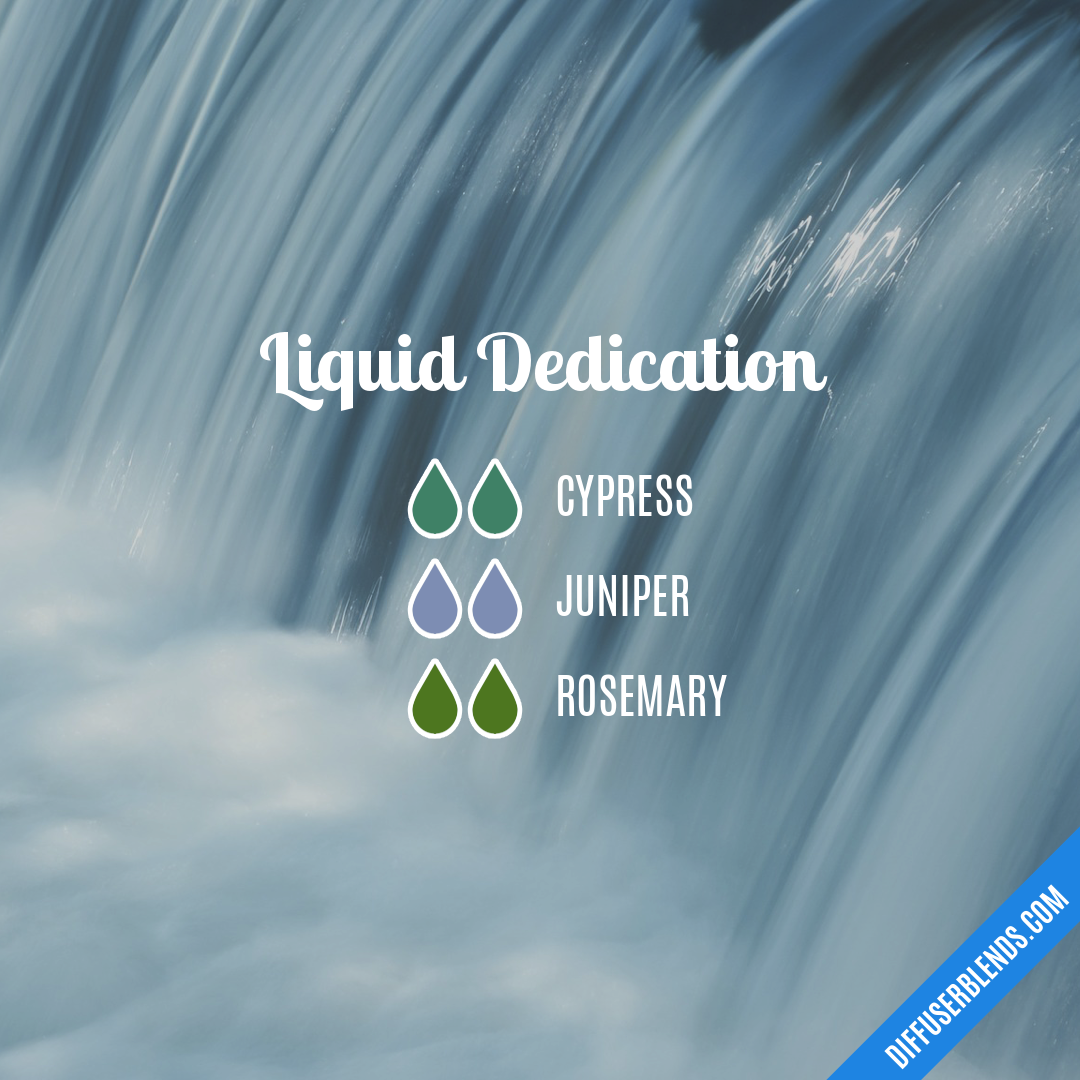 Liquid Dedication — Essential Oil Diffuser Blend