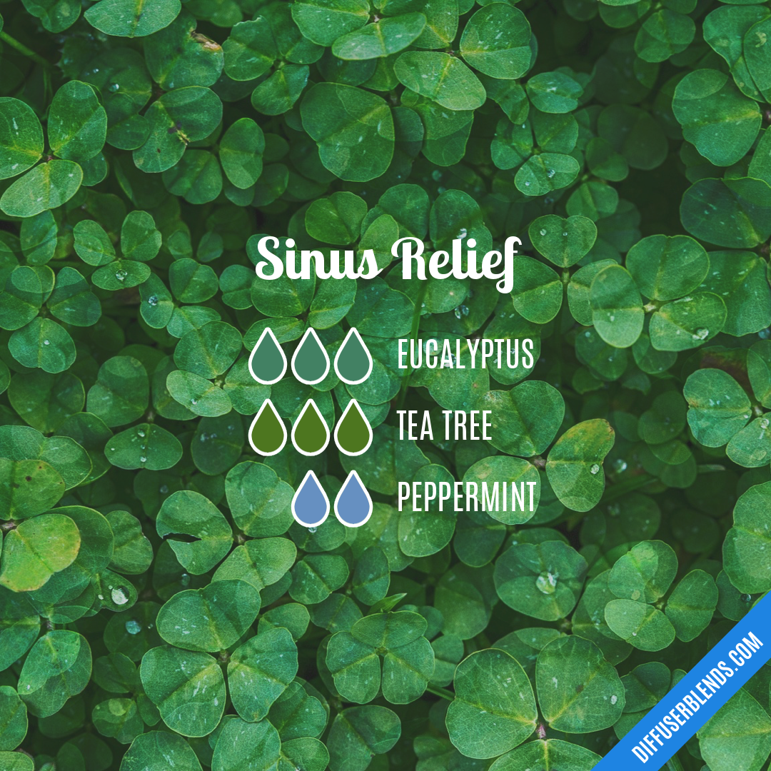 Sinus Relief — Essential Oil Diffuser Blend