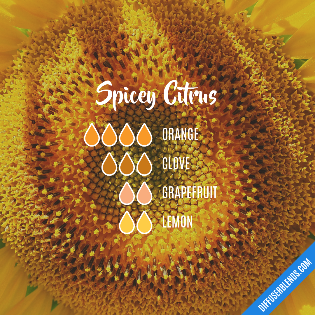 Spicey Citrus — Essential Oil Diffuser Blend
