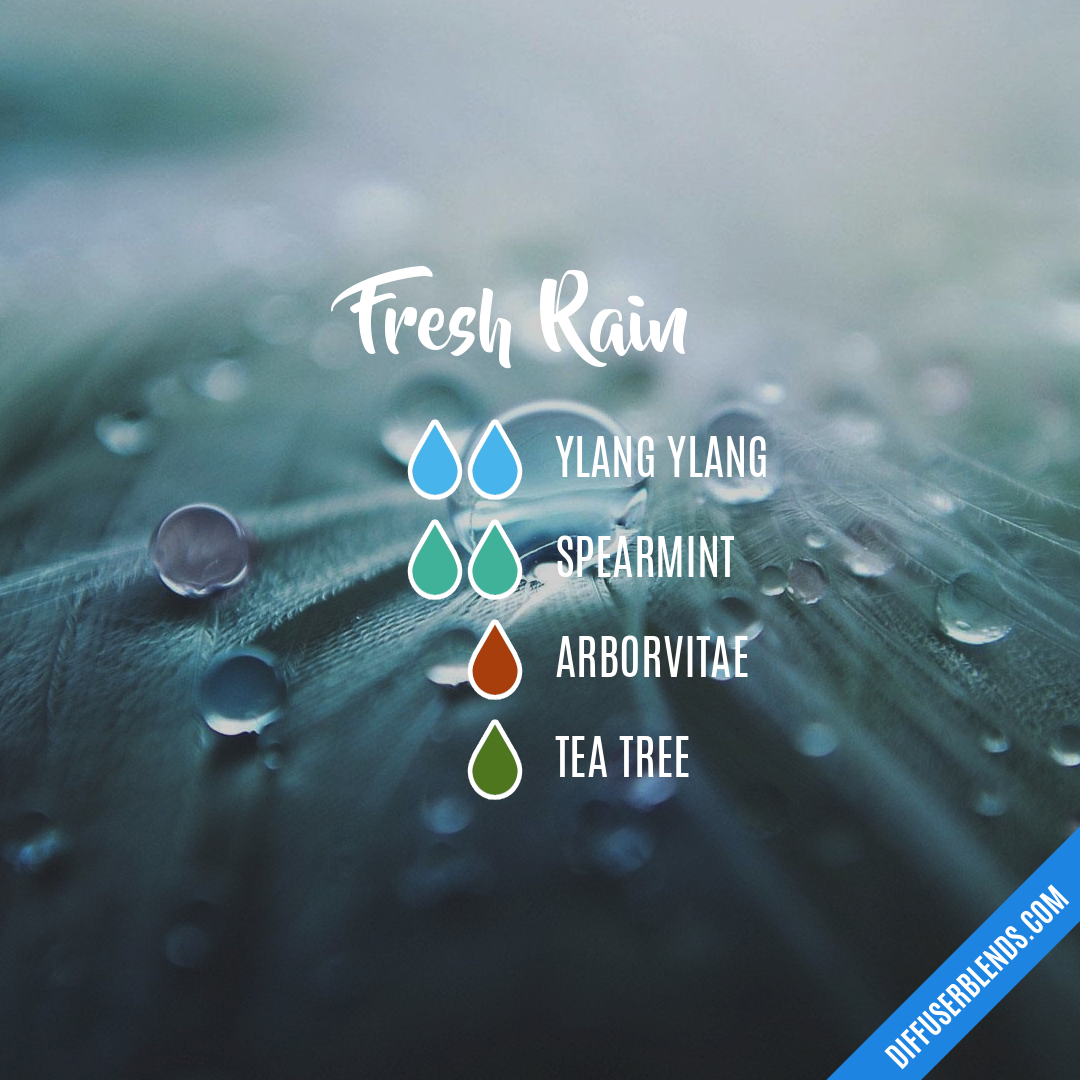 Fresh Rain — Essential Oil Diffuser Blend
