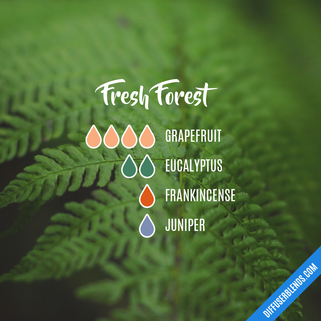 Fresh Forest — Essential Oil Diffuser Blend