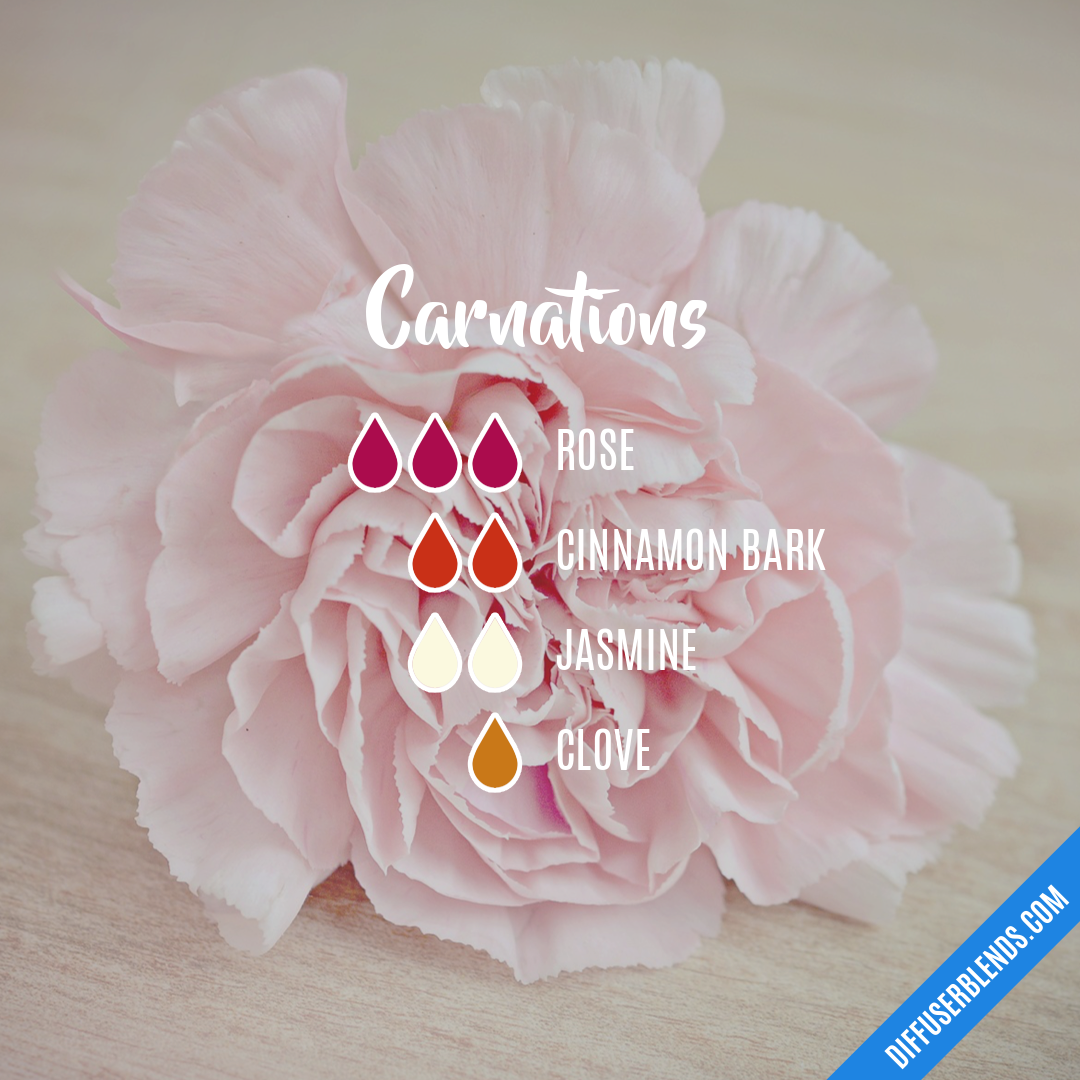 Carnations — Essential Oil Diffuser Blend