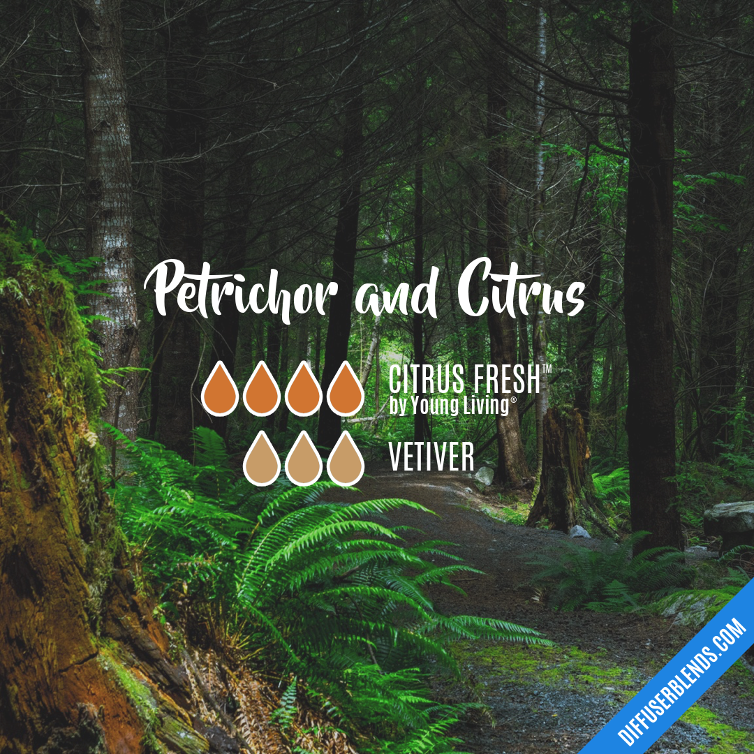 Petrichor and Citrus — Essential Oil Diffuser Blend