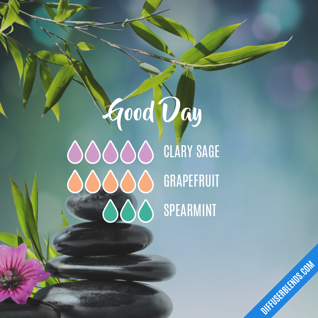 Good Day — Essential Oil Diffuser Blend