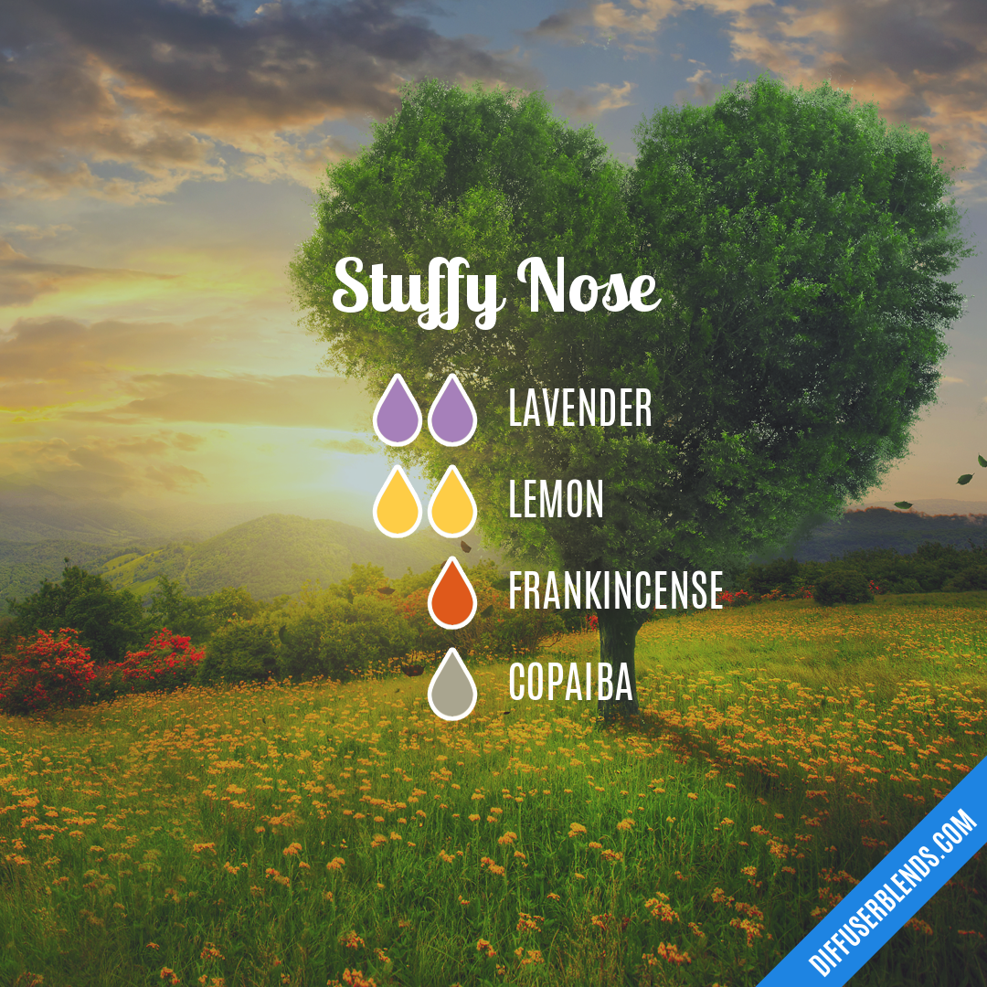 Stuffy Nose — Essential Oil Diffuser Blend