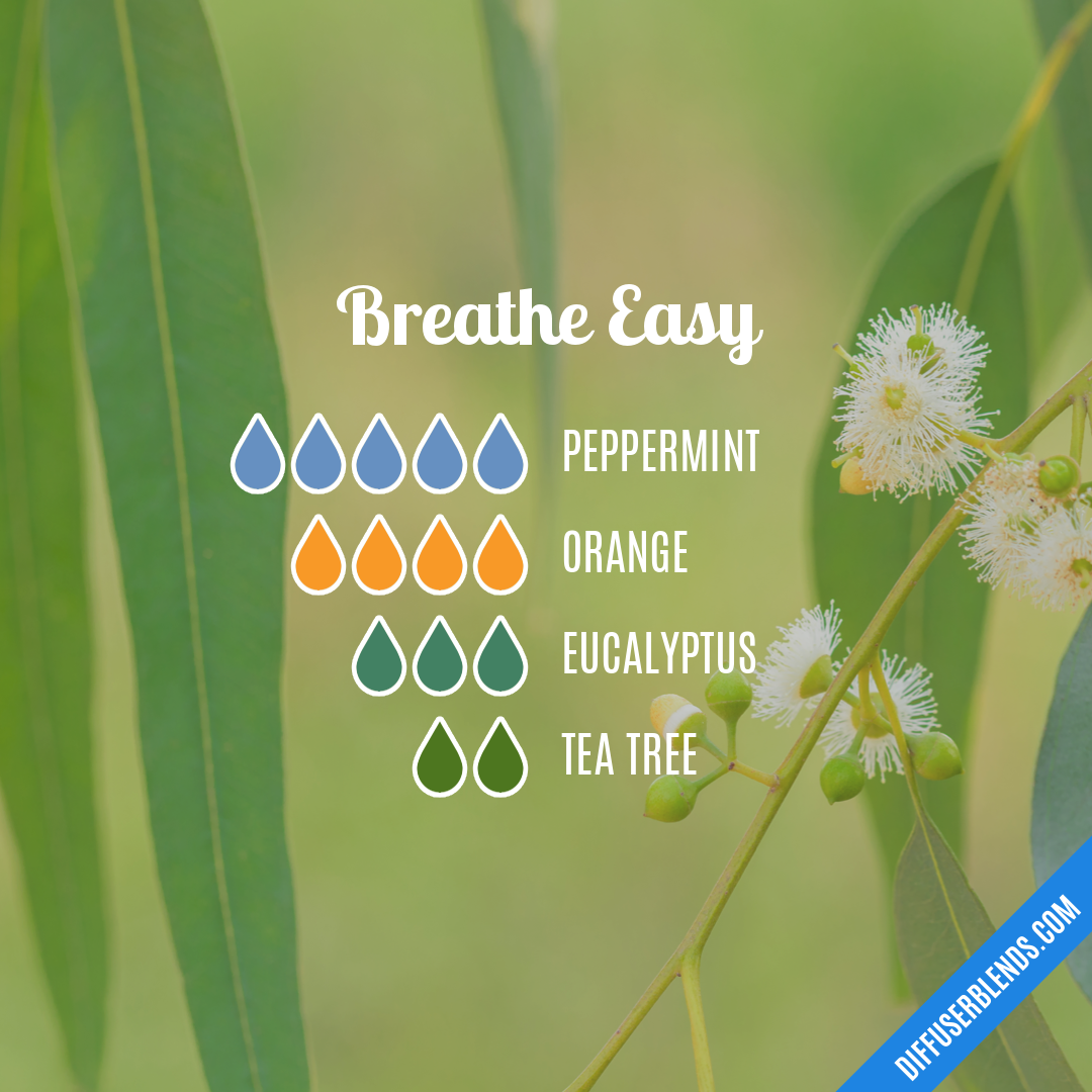 Aromatherapy Essential Oil Blend: Breathe Easy – Chagrin Valley Soap & Salve