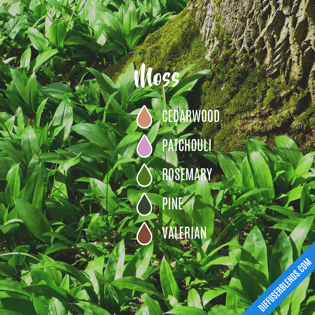 Moss — Essential Oil Diffuser Blend