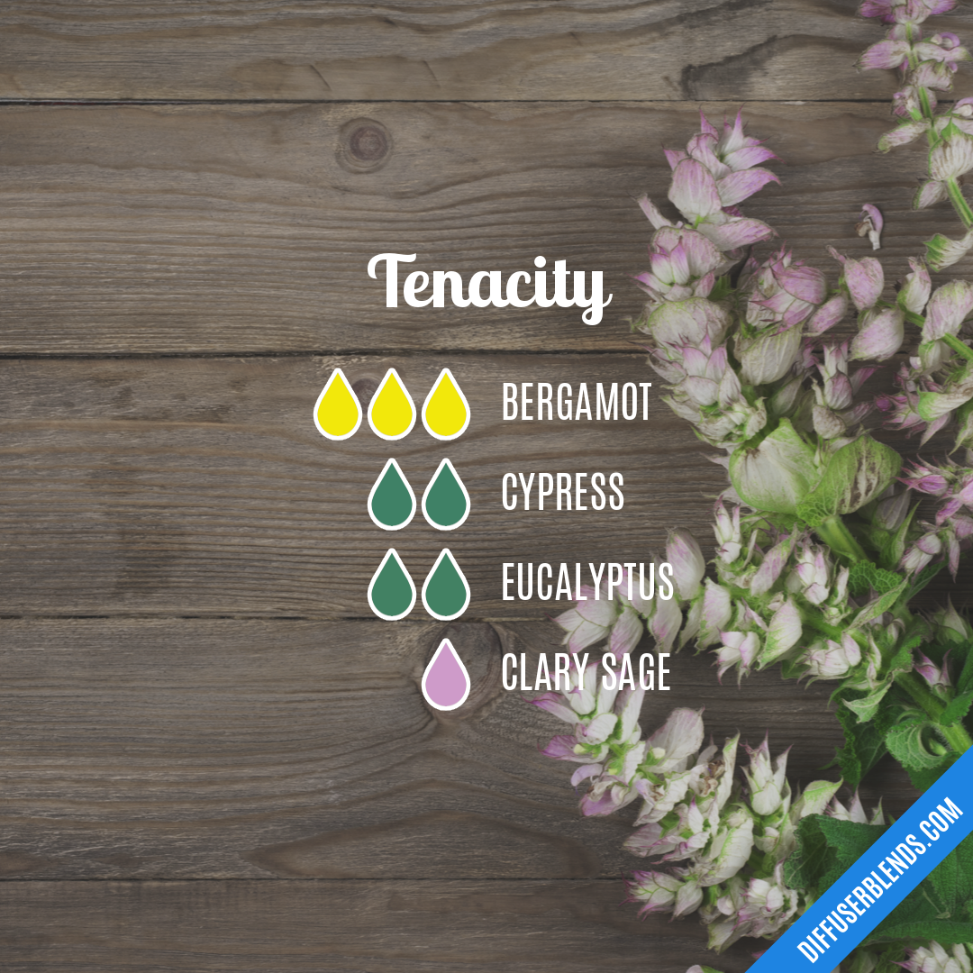Tenacity — Essential Oil Diffuser Blend