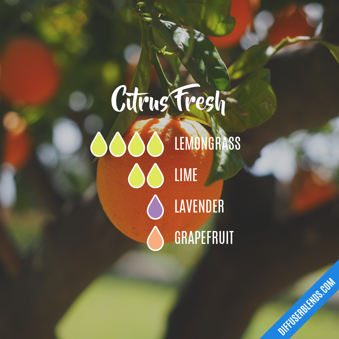Citrus Fresh — Essential Oil Diffuser Blend