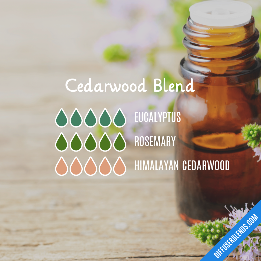 Cedarwood Blend — Essential Oil Diffuser Blend