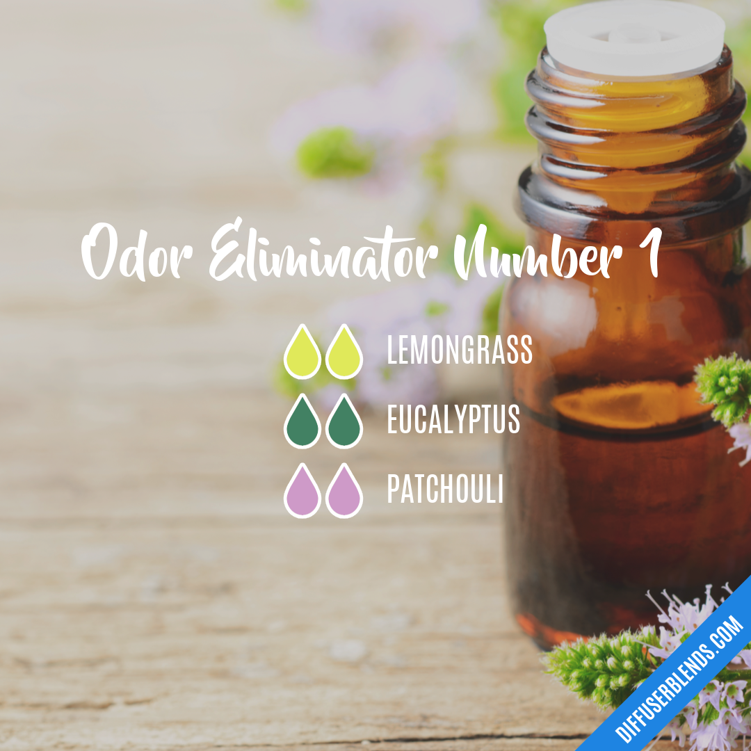 Odor Eliminator Number 1 — Essential Oil Diffuser Blend