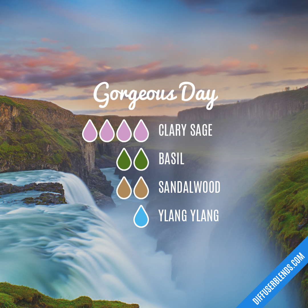 Gorgeous Day — Essential Oil Diffuser Blend