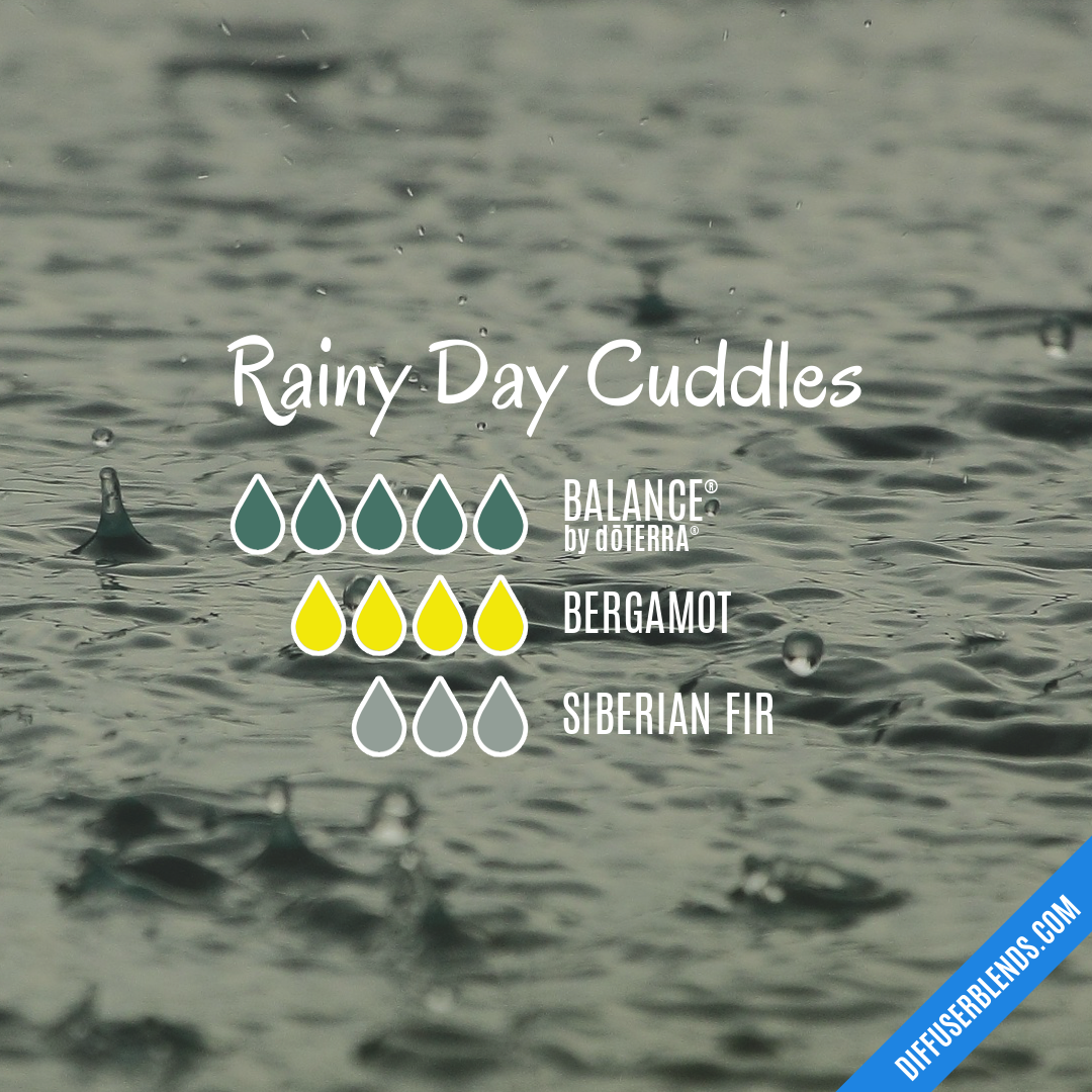 Rainy Day Cuddles — Essential Oil Diffuser Blend