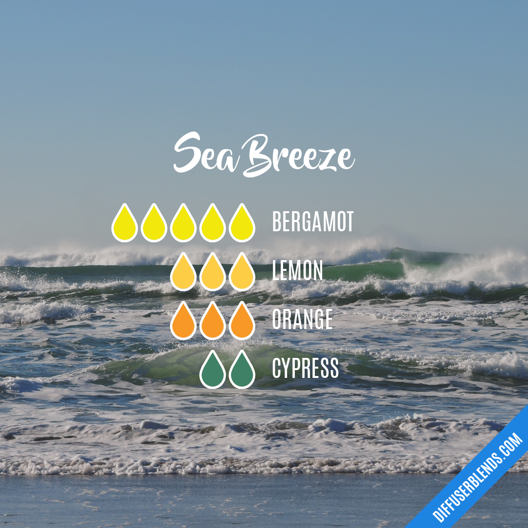 Sea Breeze | DiffuserBlends.com
