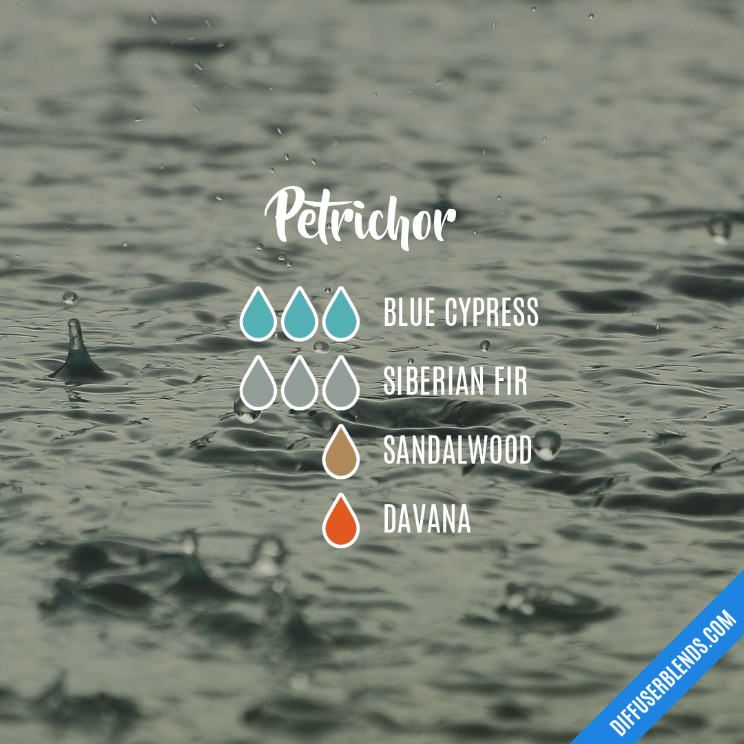 Petrichor — Essential Oil Diffuser Blend