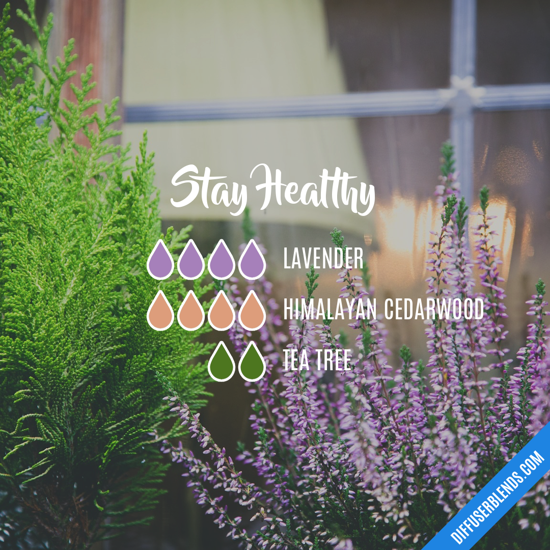 Stay Healthy — Essential Oil Diffuser Blend