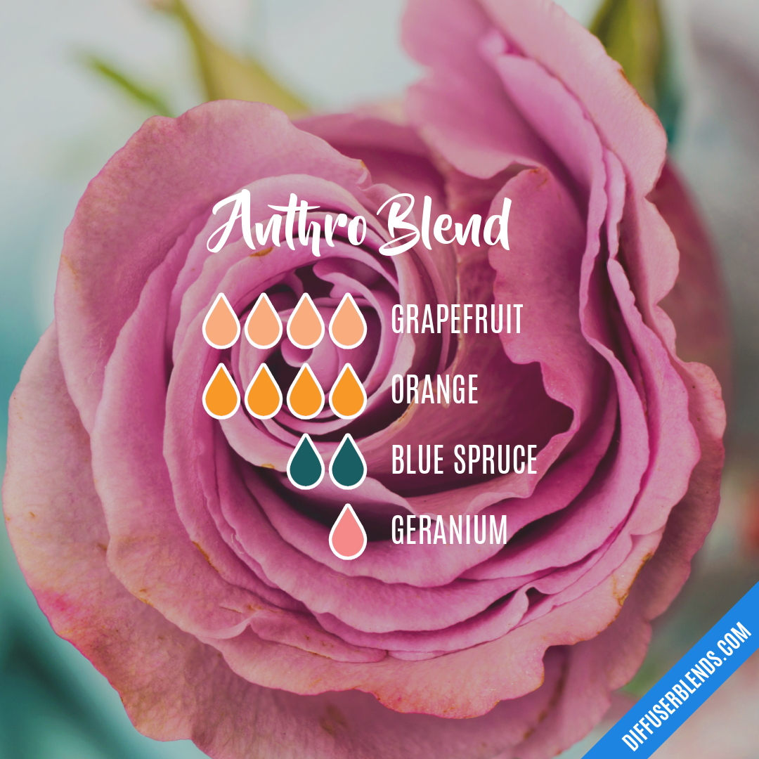 Anthro Blend — Essential Oil Diffuser Blend