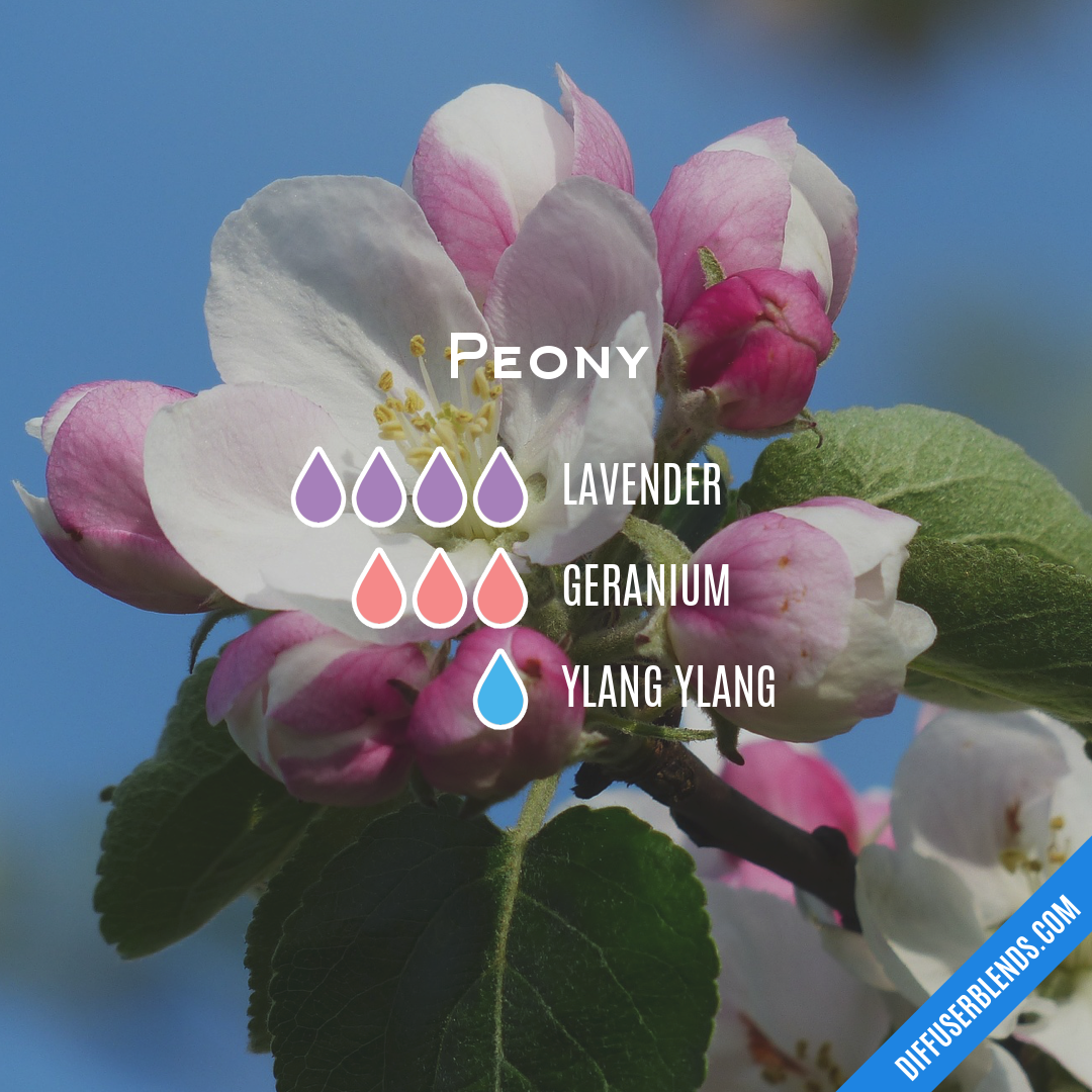 Peony — Essential Oil Diffuser Blend