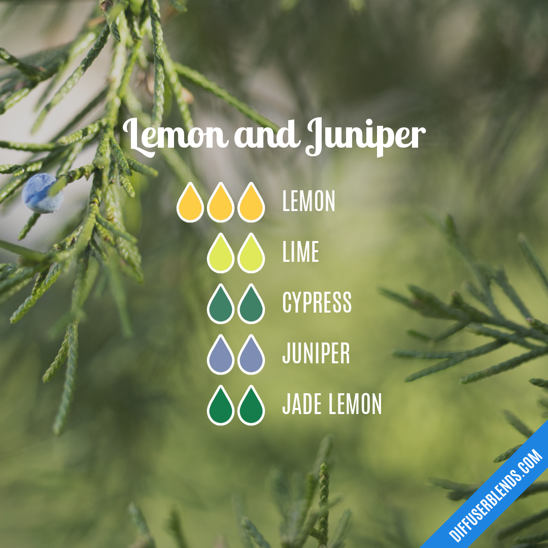 Lemon and Juniper | DiffuserBlends.com