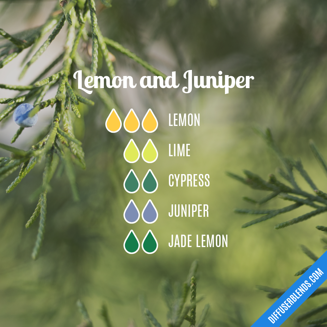 Lemon and Juniper — Essential Oil Diffuser Blend