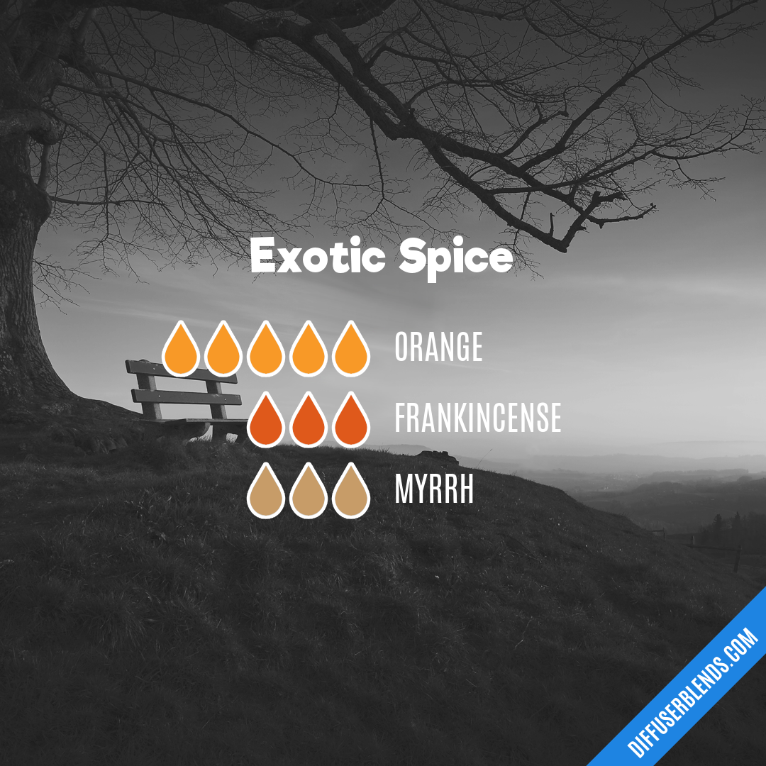Exotic Spice — Essential Oil Diffuser Blend