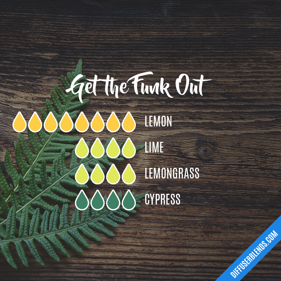 Get the Funk Out — Essential Oil Diffuser Blend