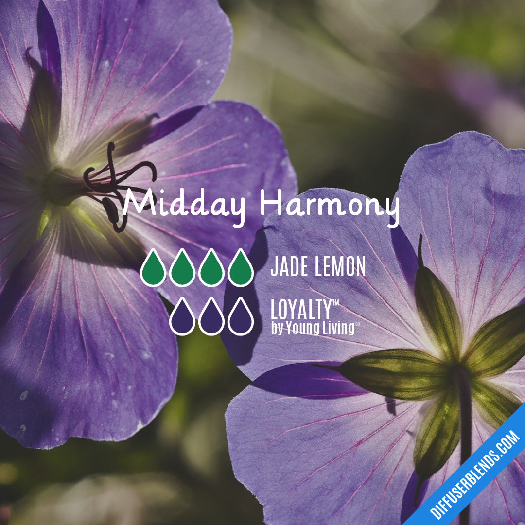 Midday Harmony | DiffuserBlends.com