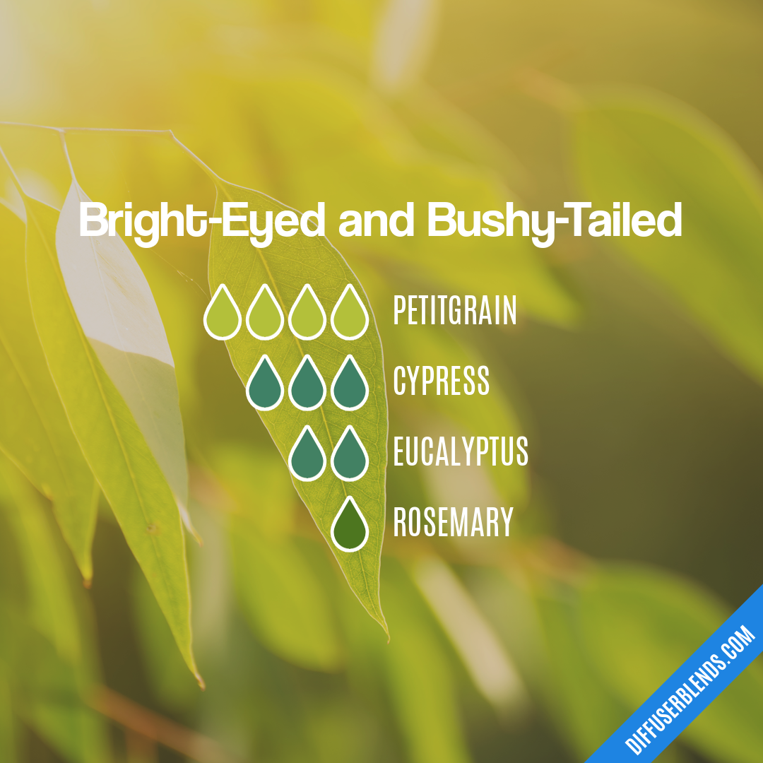 Bright-Eyed and Bushy-Tailed — Essential Oil Diffuser Blend