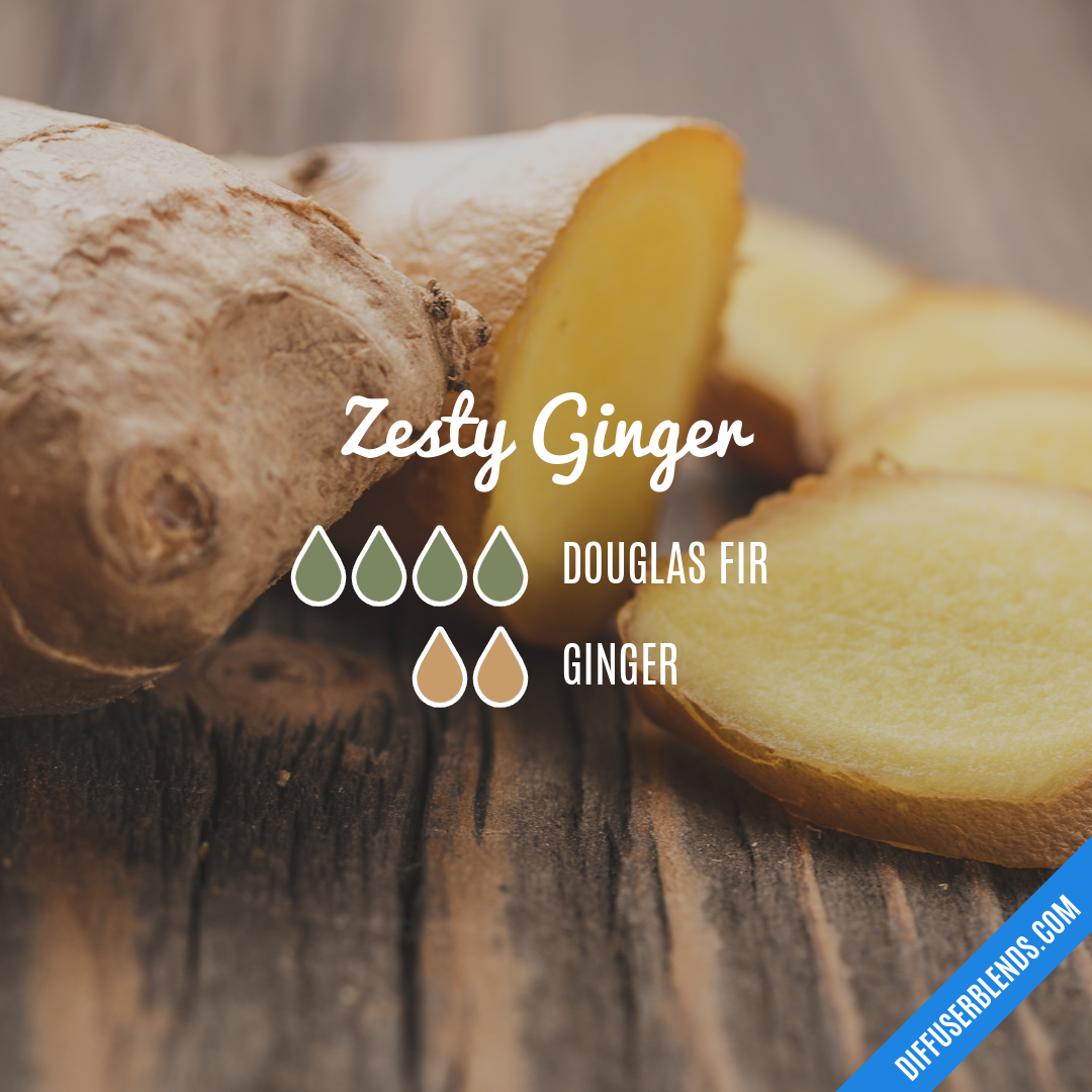 Zesty Ginger — Essential Oil Diffuser Blend