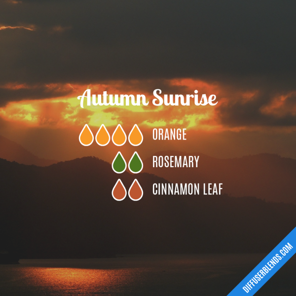 Autumn Sunrise - Essential Oil Diffuser Blend